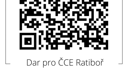 Salár a hospodaření